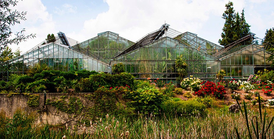 Keltengarten Neuer Botanischer Garten, Marburg, Germany, Germany